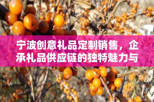 宁波创意礼品定制销售，企承礼品供应链的独特魅力与一站式服务