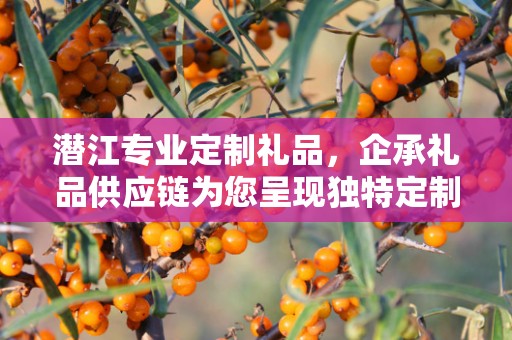 潜江专业定制礼品，企承礼品供应链为您呈现独特定制体验