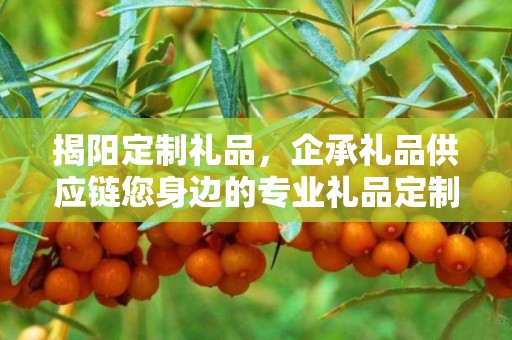 揭阳定制礼品，企承礼品供应链您身边的专业礼品定制公司