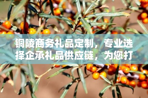 铜陵商务礼品定制，专业选择企承礼品供应链，为您打造独特商务礼品