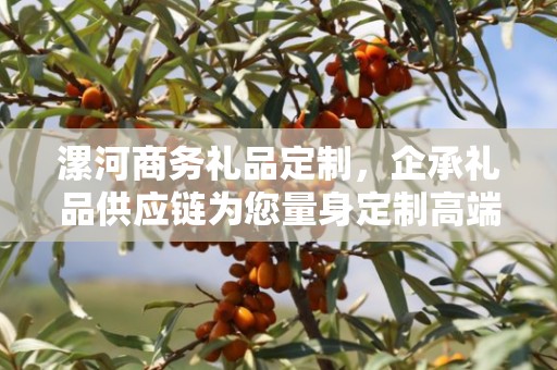 漯河商务礼品定制，企承礼品供应链为您量身定制高端商务礼品